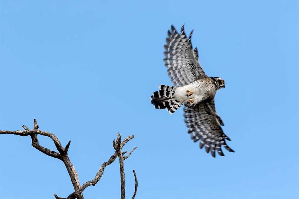Estancia Pinas es el nuevo Parque Nacional Traslasierra