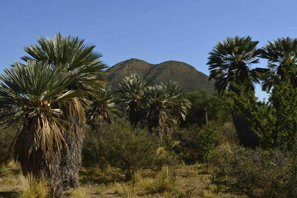 Descanso en tierra de volcanes