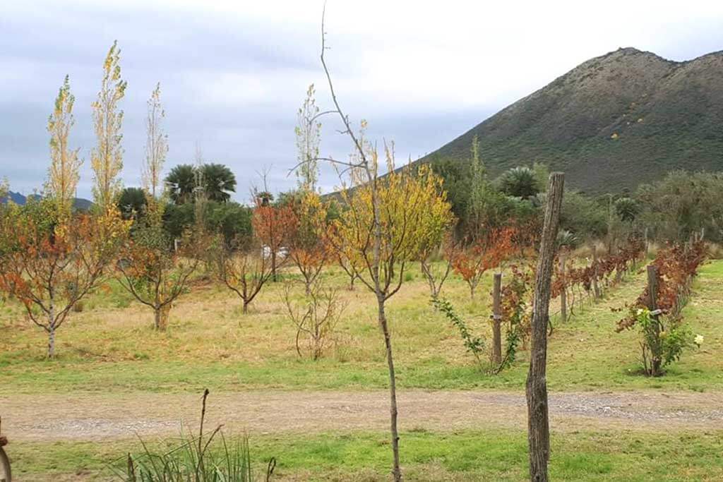 Descanso en tierra de volcanes