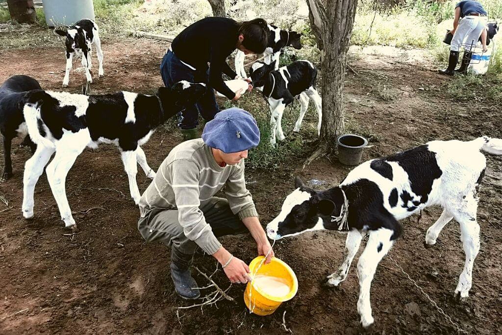 Turismo Rural: una tarea colaborativa con manos de mujer. turismo rural
