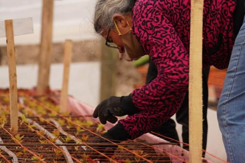 Turismo Rural: una tarea colaborativa con manos de mujer. turismo rural